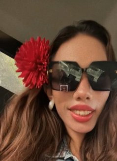 Kat Sanderland - Transsexual escort in Manila Photo 2 of 3