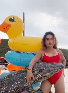 Kat Zana - Transsexual escort in Bangkok Photo 11 of 20