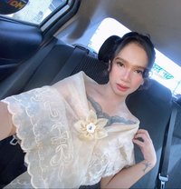 Kate - Transsexual escort in Davao