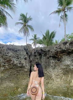 Kate - Transsexual escort in Davao Photo 3 of 10