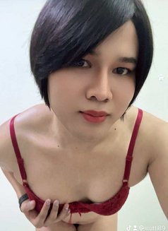 Kate Muscat - Transsexual escort in Muscat Photo 12 of 13