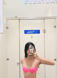Kate Sophia CAMSHOW AND CONTENT! - escort in Manila Photo 6 of 7