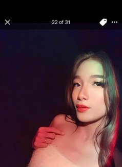 Kate Sophia CAMSHOW AND CONTENT! - escort in Manila Photo 5 of 9