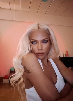 Kate - Transsexual escort in Pattaya Photo 4 of 15