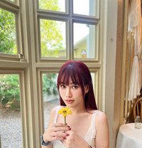 Katherine at wanchai - Acompañantes transexual in Hong Kong
