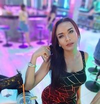 Katherine8 - Transsexual escort in Phuket