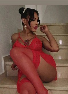 Kathy - Transsexual escort in Barcelona Photo 1 of 15
