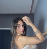 Kati murad - Transsexual escort in Beirut