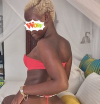 Katia Hot Nasty Escort - escort in Nairobi