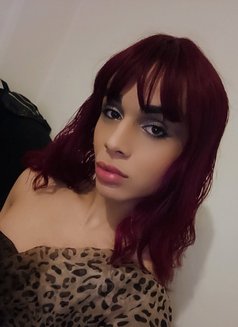 Katia - Transsexual escort in Beirut Photo 1 of 1