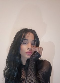 Katia - Acompañantes transexual in Beirut Photo 3 of 7