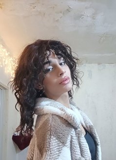 Katia - Acompañantes transexual in Beirut Photo 7 of 7