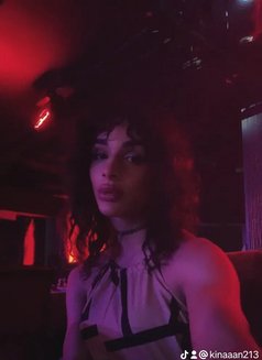 Katia - Transsexual escort in Beirut Photo 3 of 4