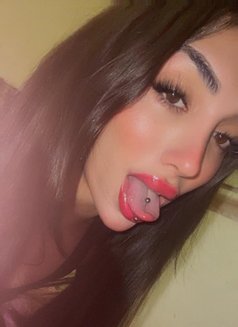 Katia - Transsexual escort in Beirut Photo 21 of 28