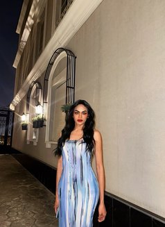 Katie Amelia - Transsexual escort in Pattaya Photo 11 of 11
