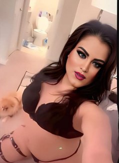 Katie - Transsexual escort in Cairo Photo 12 of 12