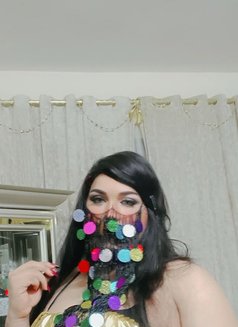 Katie - Transsexual escort in Cairo Photo 3 of 14