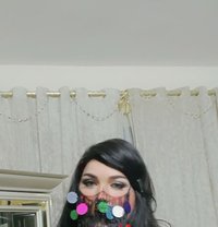 Katie - Transsexual escort in Cairo