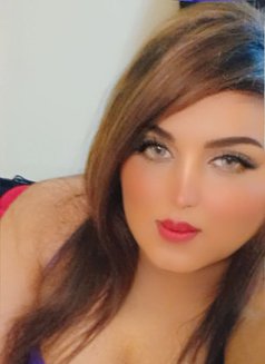 Katie - Transsexual escort in Cairo Photo 7 of 14