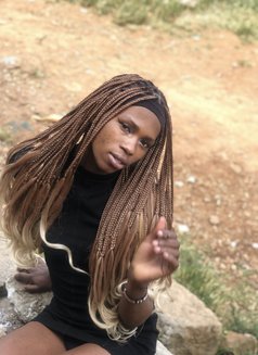 Katie 🏳️‍⚧️Fetishslut🥵and Vc - Transsexual escort in Nairobi Photo 4 of 6