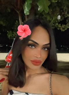 Katie69 Ts - Acompañantes transexual in Doha Photo 11 of 11