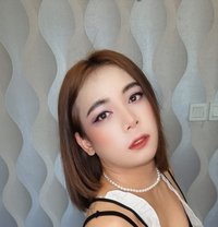 Katip - Transsexual escort in Al Manama