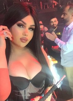 Katrexa sex - Transsexual escort in Beirut Photo 6 of 10