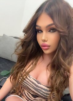 Katrexa sex - Transsexual escort in Beirut Photo 16 of 16