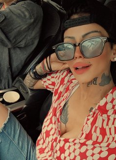 Katrin - puta in Beirut Photo 1 of 17