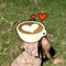 Cam & Reel meet ( kajal ) - escort in Chandigarh