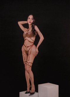 Katrina Cat - Acompañantes transexual in Tokyo Photo 4 of 27