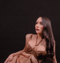 Katrina Cat - Transsexual escort in Tokyo