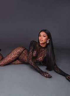 Katrina - Transsexual escort in Singapore Photo 4 of 8