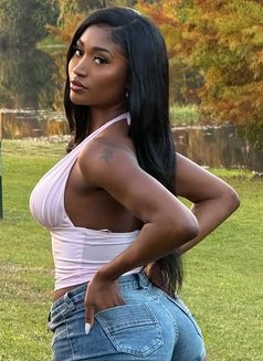 Katrina, Hot African Escort - escort in Ko Samui Photo 5 of 5