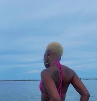 Katrina - escort agency in Ko Samui
