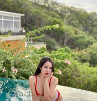 Katsarina - Transsexual escort in Ko Samui