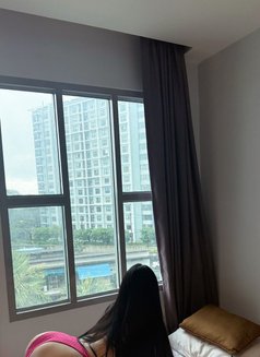 Katsarina - Transsexual escort in Ko Samui Photo 2 of 13