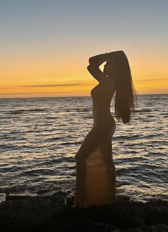 Katsarina - Transsexual escort in Ko Samui Photo 11 of 13