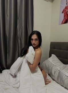 Kattrisya - Transsexual escort in Manila Photo 1 of 10