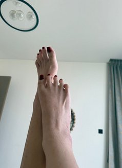 Katy Naughty' Private room - escort in Dubai Photo 14 of 17