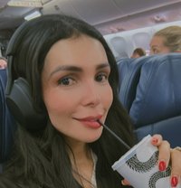 Katy - Transsexual escort in Singapore