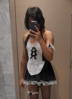 Kaushi Lochana - Transsexual escort in Colombo Photo 11 of 12