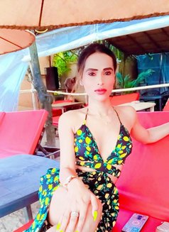Kavya - Acompañantes transexual in New Delhi Photo 29 of 30