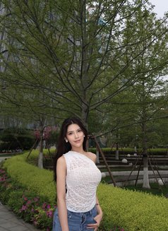 KAWAII BABE REAL PROFILE NOT AI - escort in Taipei Photo 29 of 29
