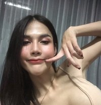 Kawfang - Agencia de acompañantes transexuales in Bangkok