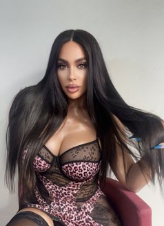 Kay the doll - Transsexual escort in Beirut Photo 1 of 29