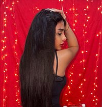 Kay the doll - Transsexual escort in Beirut