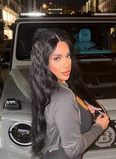 Kay the doll - Acompañantes transexual in Beirut Photo 4 of 29