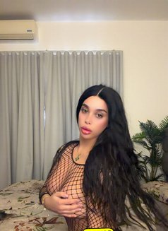 Kay the doll - Transsexual escort in Beirut Photo 1 of 28