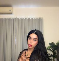 Kay the doll - Transsexual escort in Beirut